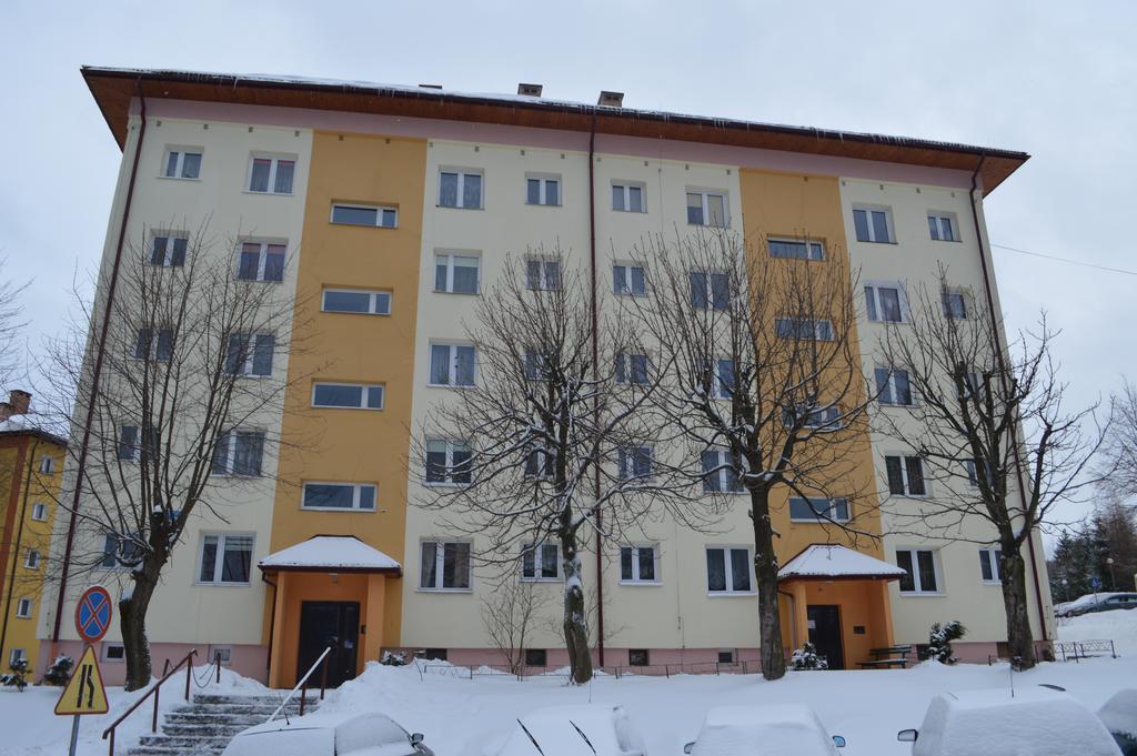 Apartament Ustrzyki Ustrzyki Dolne Exterior photo